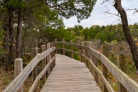 Great boardwalks provide easy access to all the treasures the park offers